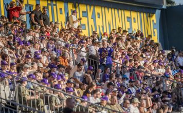 Styrian Reavers und AFC Vienna Vikings Division Team sichern sich