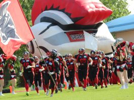 Weinviertel Spartans vs. Vienna Vikings 2