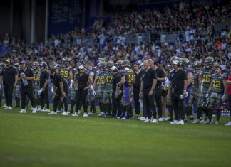 Vienna Vikings Generali Arena